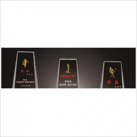 화이트 크리스탈 트로피12 #3