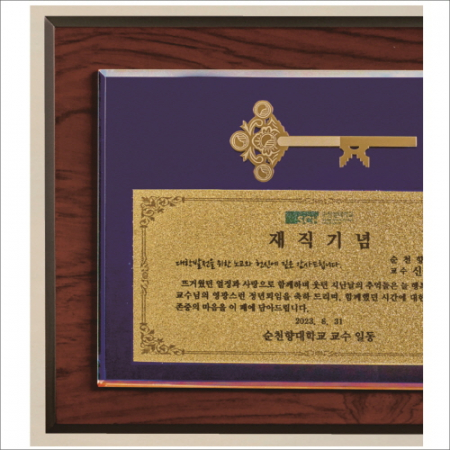 행운의 열쇠 큐빅고급장식패 #5