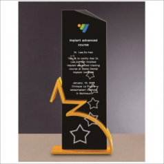 금속 블랙 크리스탈 상패3