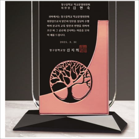 금속 투톤 크리스탈 상패15 #4