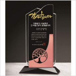 금속 투톤 크리스탈 상패15