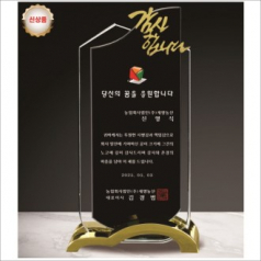 금속 투톤 크리스탈 상패11