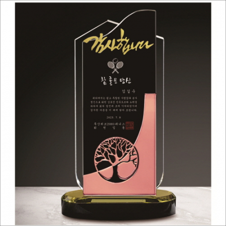 금속 투톤 크리스탈 상패6 #2