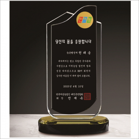 화이트 블랙 투톤 크리스탈 상패3 #2