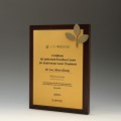 감사 퇴임 재직기념 원목 원목패 E5139