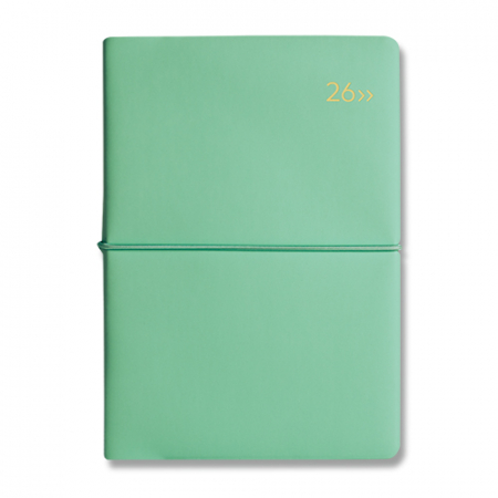 DV PRO1 밴드식 32절 다이어리 #9