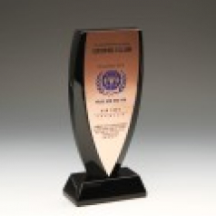 기업 퇴직기념 학교 송공패 E1101