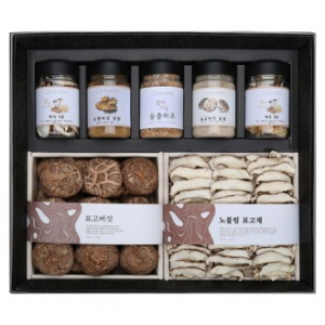 숲속  건강 버섯 혼합 세트