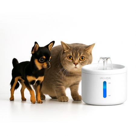 아이리버 강아지 급수기 고양이 펫 자동 정수기 자동 저소음 센서 반려동물 IA-AW303 #4