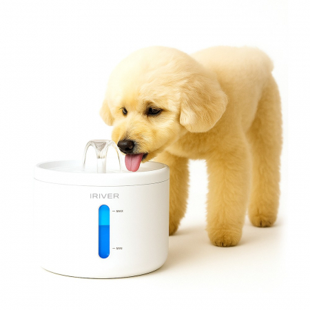 아이리버 강아지 급수기 고양이 펫 자동 정수기 자동 저소음 센서 반려동물 IA-AW303 #3