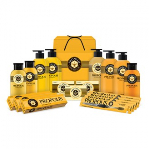 LG 다올 프로폴리스 82호 2556