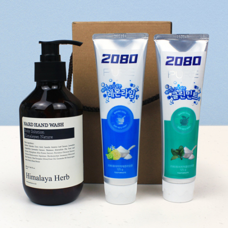 NARD 핸드워시 250ml + 2080 퓨어치약 125g 레몬라임 클린민트 2종 + 끈케이스 #2
