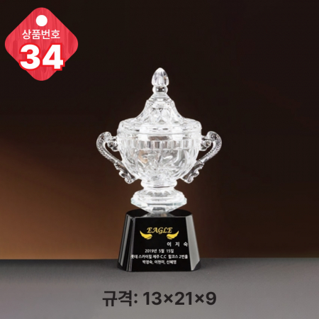 크리스탈 트로피 32 #6