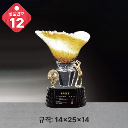 크리스탈 트로피 11 #4