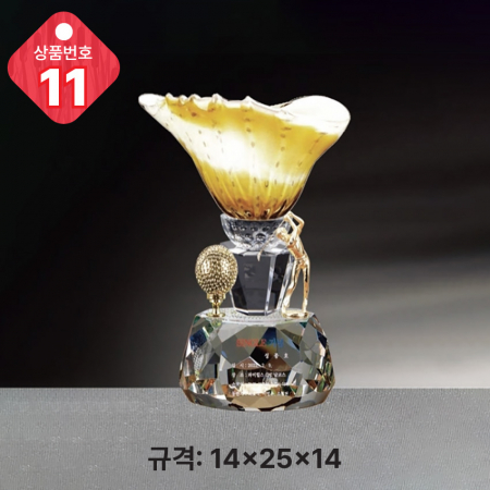 크리스탈 트로피 11 #3