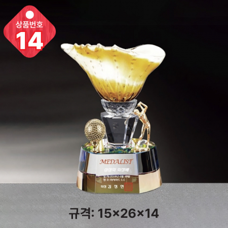 크리스탈 트로피 13 #4