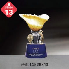 크리스탈 트로피 13