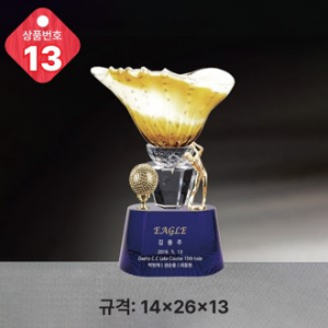 크리스탈 트로피 13