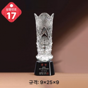크리스탈 트로피 17