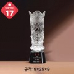 크리스탈 트로피 17