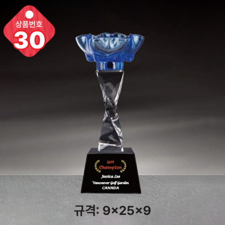 크리스탈 트로피 29 #4