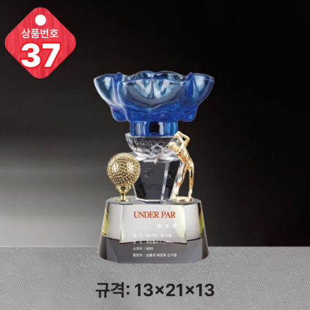 크리스탈 트로피 35 #5