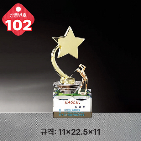 크리스탈 트로피 100 #5