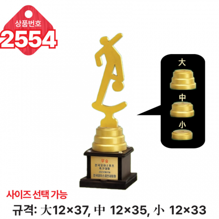일반 조형 트로피 2554 #2