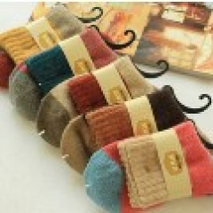 칼라 가을 양말