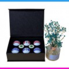 볼빅 리얼 360 퍼팅라인 6구 2S 볼마커세트 (3pc) 볼빅 360도 퍼팅라인 골프공