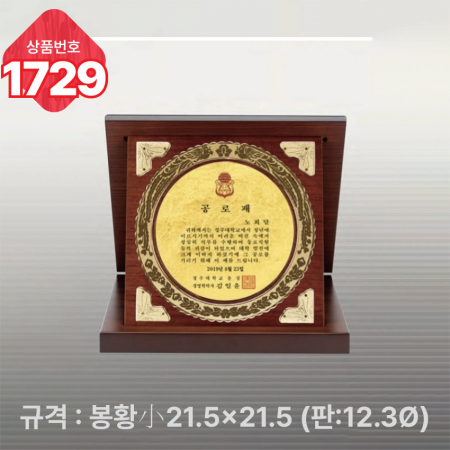 일반 상패 1728 #5