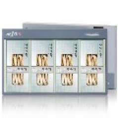 가온애 자연가득 버섯세트 4호(면세)