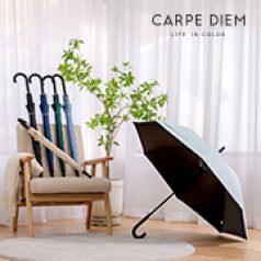 카르페디엠 3HHC079 암막 장우산