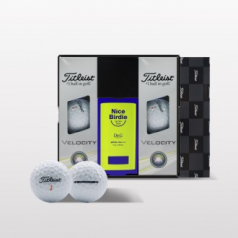 타이틀리스트 벨로시티 6구 닥터지 선스틱 세트