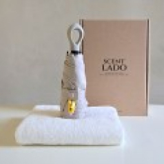 센트라도 송월 타올 수건 + 멀티고리 5단 양우산 세트