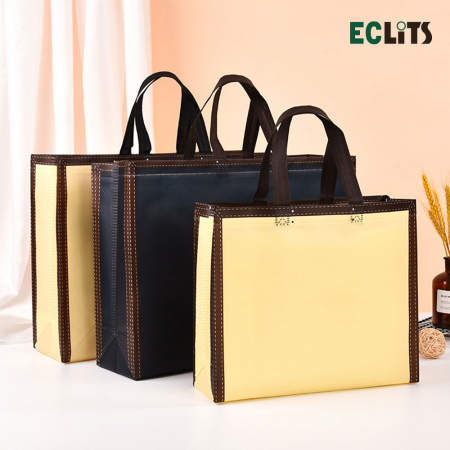 에클리츠 고급 코팅 부직포 쇼핑백 대형 #2