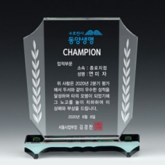 크리스탈상패 13)230-2