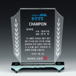 크리스탈상패 13)230-2