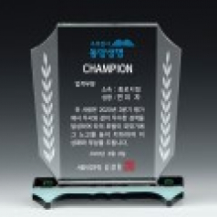 크리스탈상패 13)230-2