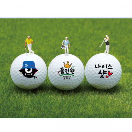 타이틀리스트 PRO V1x 9구 #5