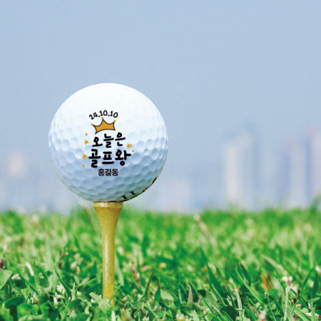 타이틀리스트 PRO V1 5구 #4