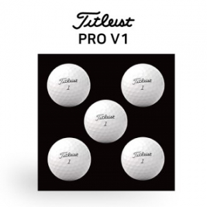 타이틀리스트 PRO V1 5구
