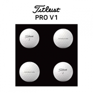 타이틀리스트 PRO V1 4구