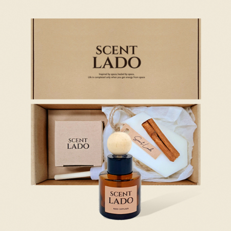 센트라도 미니 차량용 디퓨저 50ml+고체방향제 왁스타블렛 세트 #5