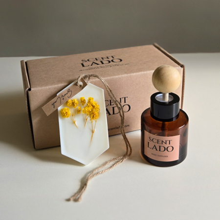 센트라도 미니 차량용 디퓨저 50ml+고체방향제 왁스타블렛 세트 #2