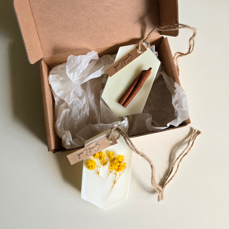 센트라도 고체방향제 왁스타블렛 2P 세트 #3