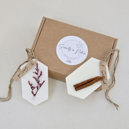 센트라도 고체방향제 왁스타블렛 2P 세트 #4