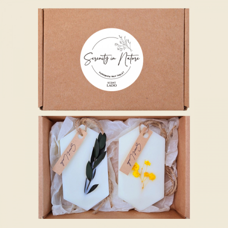 센트라도 고체방향제 왁스타블렛 2P 세트 #5