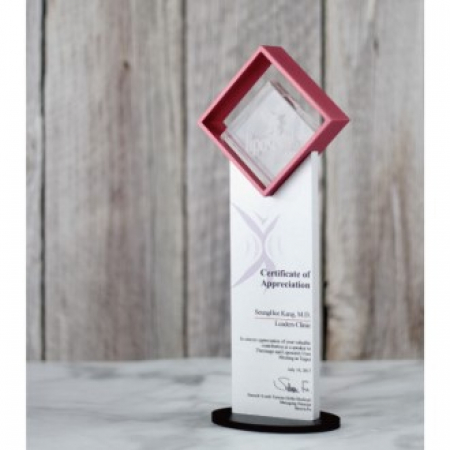 금속상패 크리스탈상패 TM805 #2