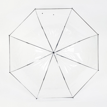 발렌타인 포에 70x8 자동 투명 바이어스 곡자 비닐 장우산 #7